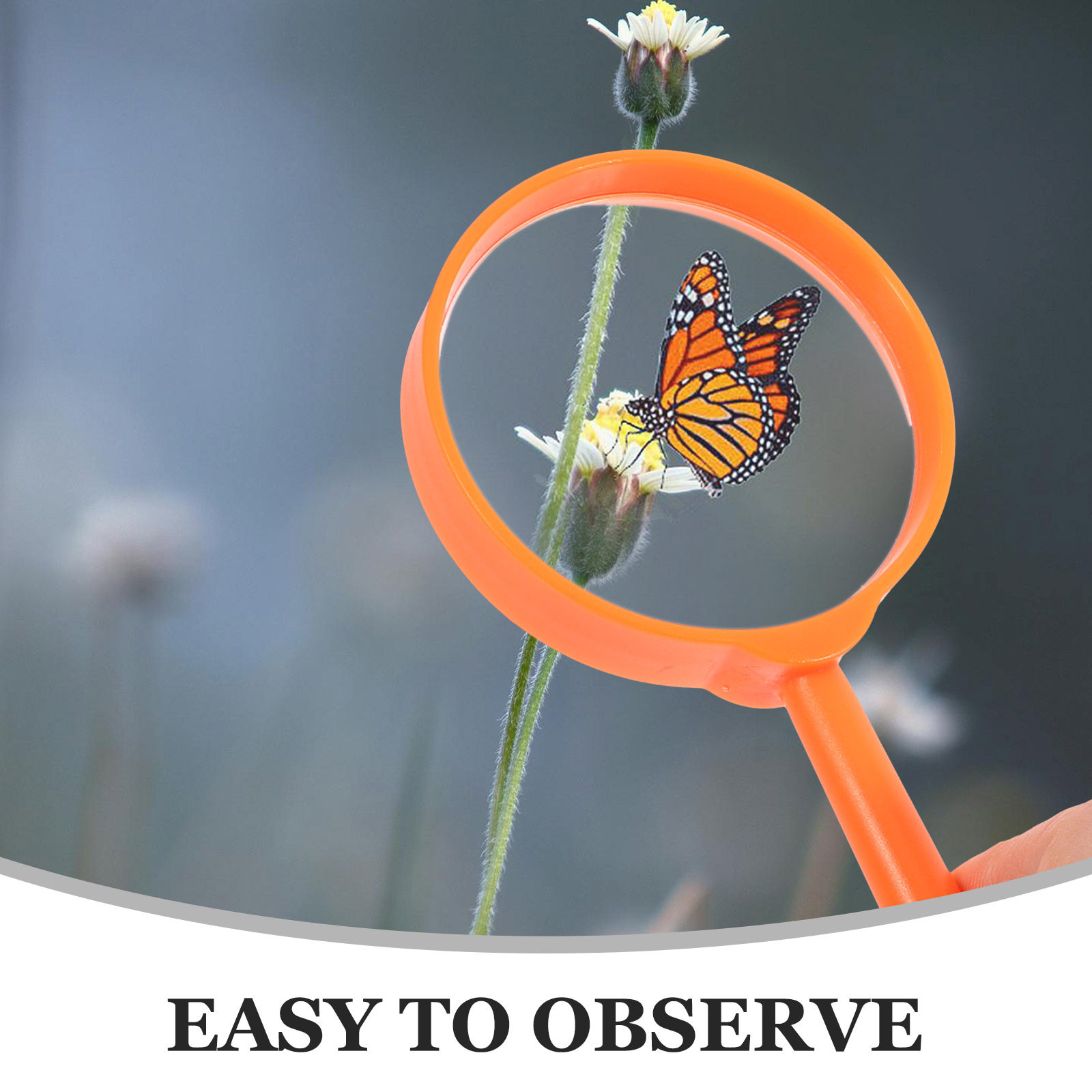 Kit d'observation des insectes - Kids Outdoor Kit avis et prix