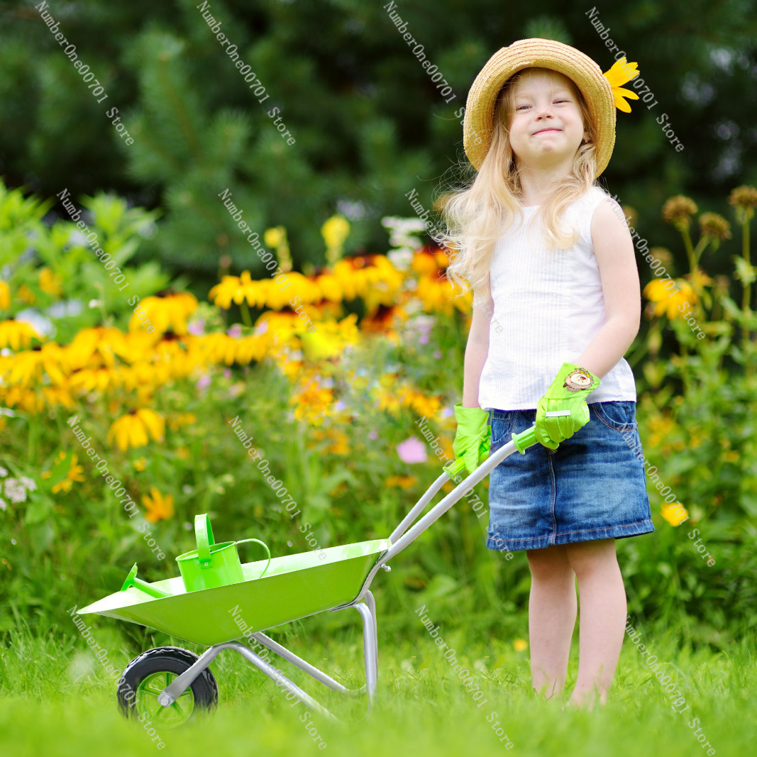 Brouette d'extérieur pour enfa - Kids Outdoor Garden Toys avis et prix