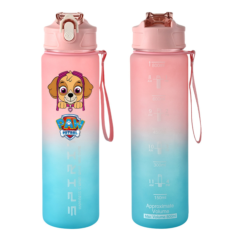 Bouteilles d'eau de sport PAW  - Kids Outdoor Gym avis et prix