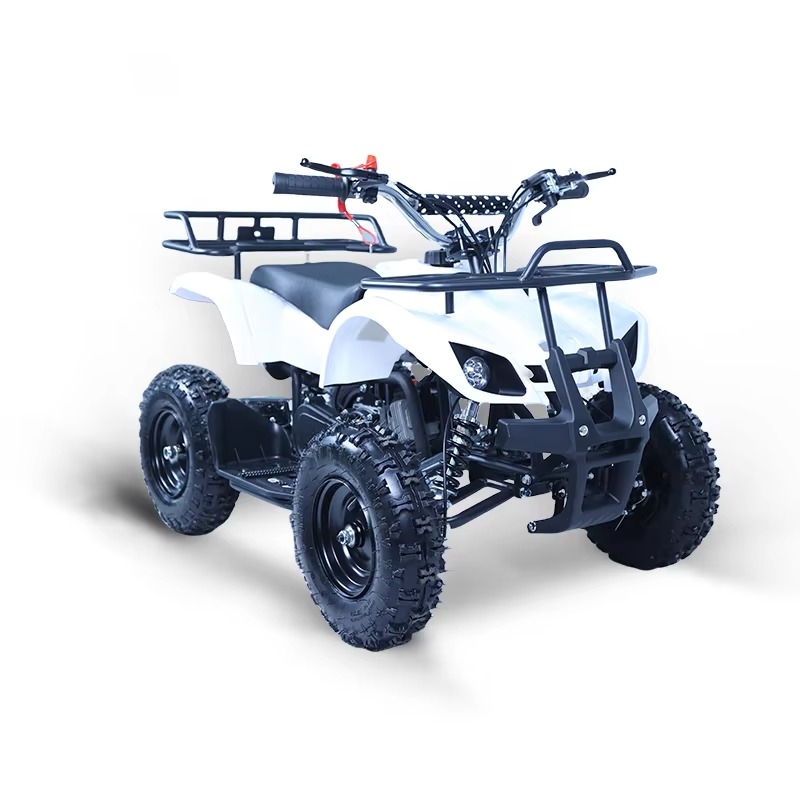 Mini quad 49cc pour enfants, 2 - Kids Outdoor Quad avis et prix