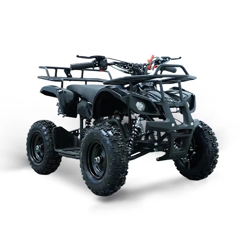 Mini quad 49cc pour enfants, 2 - Kids Outdoor Quad avis et prix