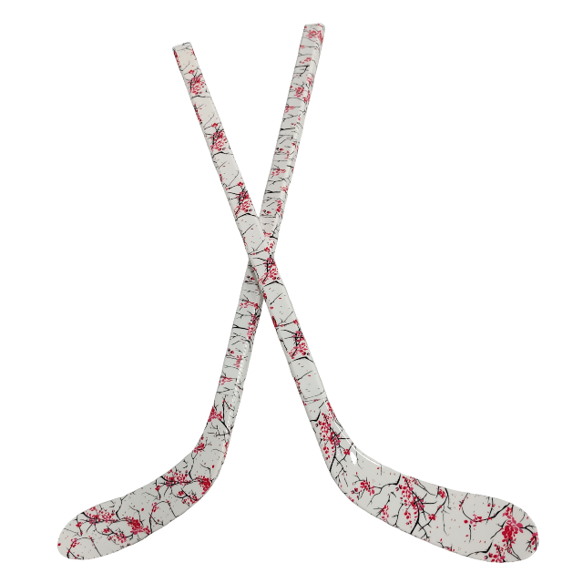 Ensemble de bâtons de Hockey s - Kids Outdoor Hockey Sticks avis et prix